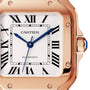 Close-up of a Cartier Baignoire watch featuring a distinctive face, Roman numeral hour markers, blue hands, and an elegant case. The time displays approximately 10:11.