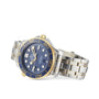 The OMEGA Seamaster Diver 300M is a stainless steel and gold wristwatch with a blue bezel and dial, white hour markers, gold accents, date display, and Master Chronometer Calibre 8800.