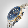 A close-up of the OMEGA Seamaster Diver 300M wristwatch with a blue and gold bezel, a silver and gold bracelet, and a blue dial featuring white hour markers, multiple subdials, and the signature OMEGA Calibre 9900.