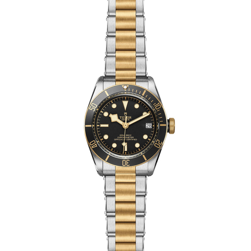 The TUDOR Black Bay S&G features a black dial, gold bezel, and a two-tone silver and gold bracelet, displaying the time at 10:10.