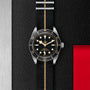 A TUDOR Black Bay 58 wristwatch with gold accents and a striped NATO strap is displayed on a textured black and red background, highlighting its signature style and reliable mechanical movement.