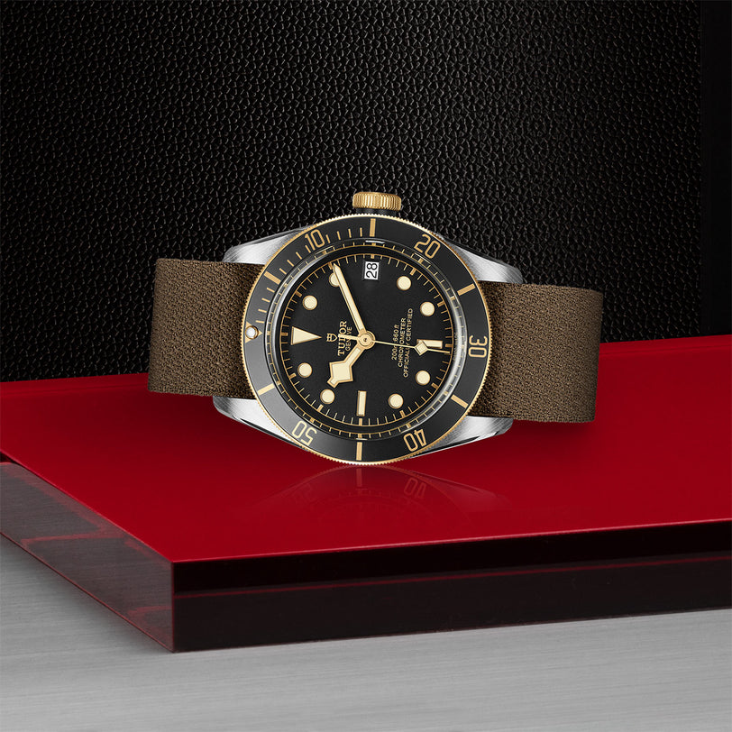 The TUDOR Black Bay S&G wristwatch features a black and gold face, brown leather strap, and silver case, displayed on a red and silver platform against a textured black background.