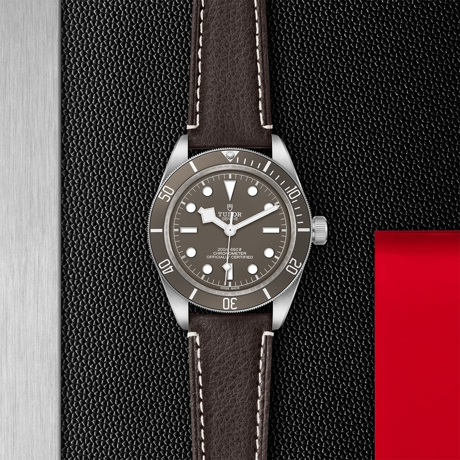 A TUDOR Black Bay 58 925 with a brown leather strap and brown dial is set against a textured black and metallic background with a red accent, highlighting its classic 39 mm case.