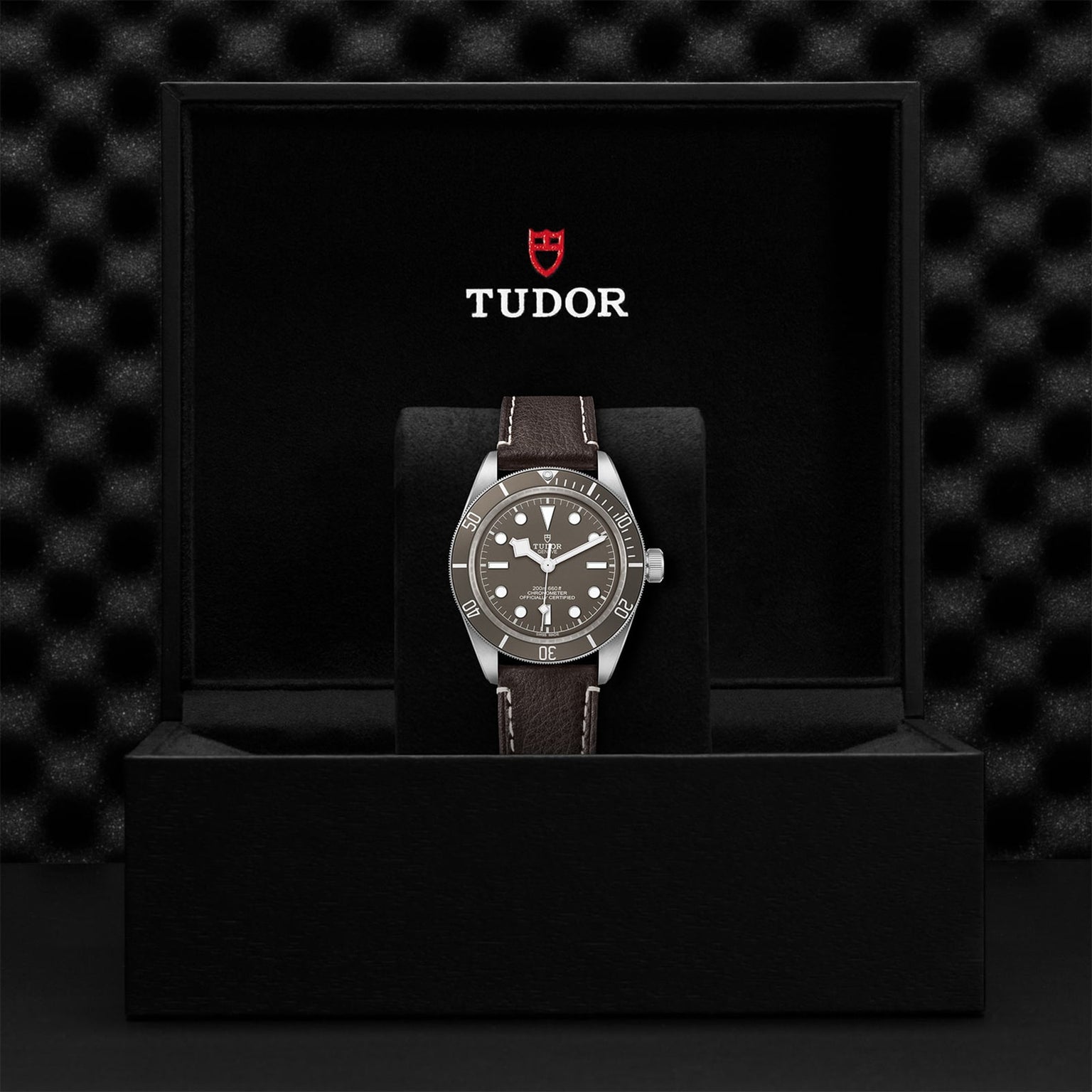 A TUDOR Black Bay 58 925 with a dark strap is displayed upright in an open black box showing the TUDOR logo and name on the inside lid. This stylish divers watch features a 39 mm case.