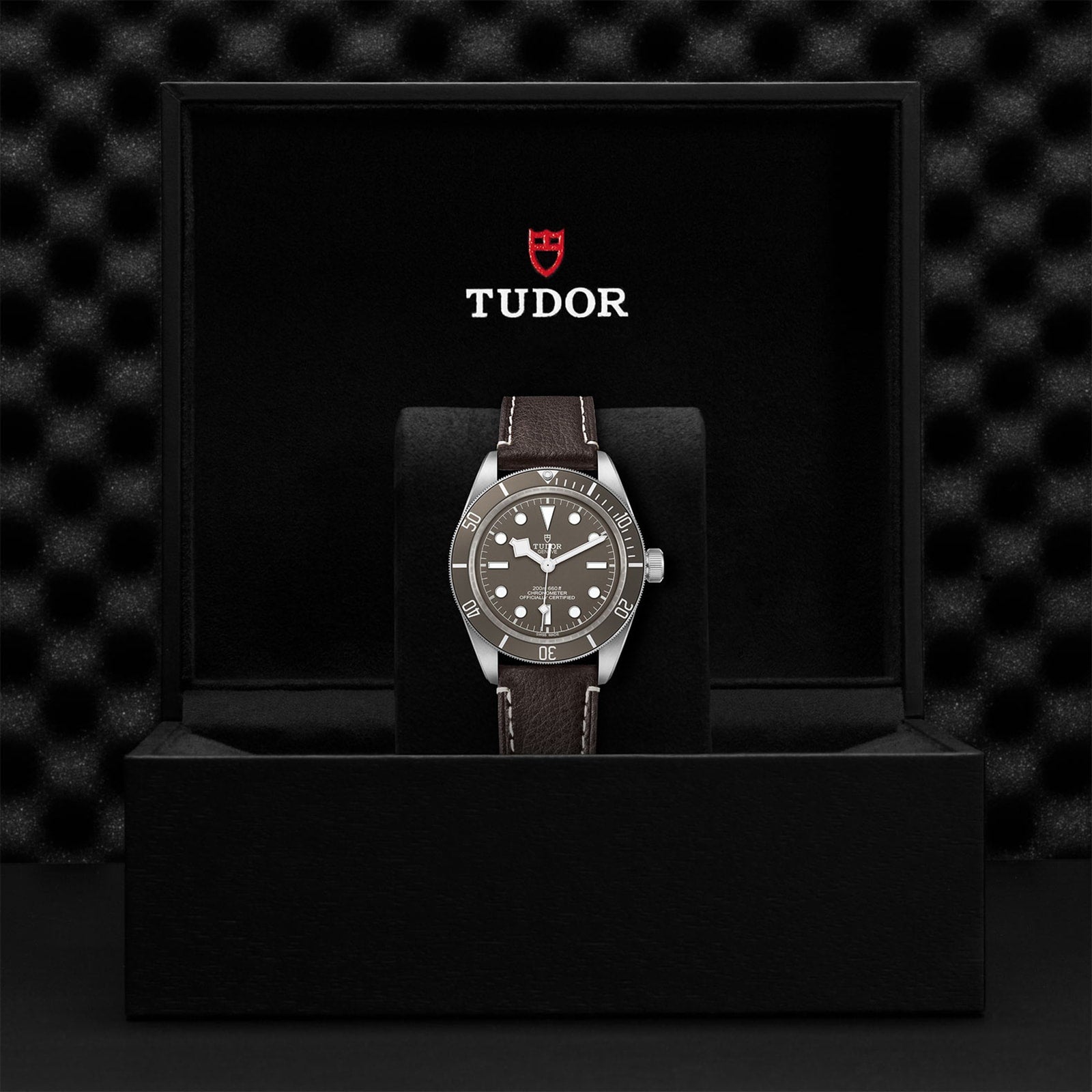 A TUDOR Black Bay 58 925 with a dark strap is displayed upright in an open black box showing the TUDOR logo and name on the inside lid. This stylish divers watch features a 39 mm case.