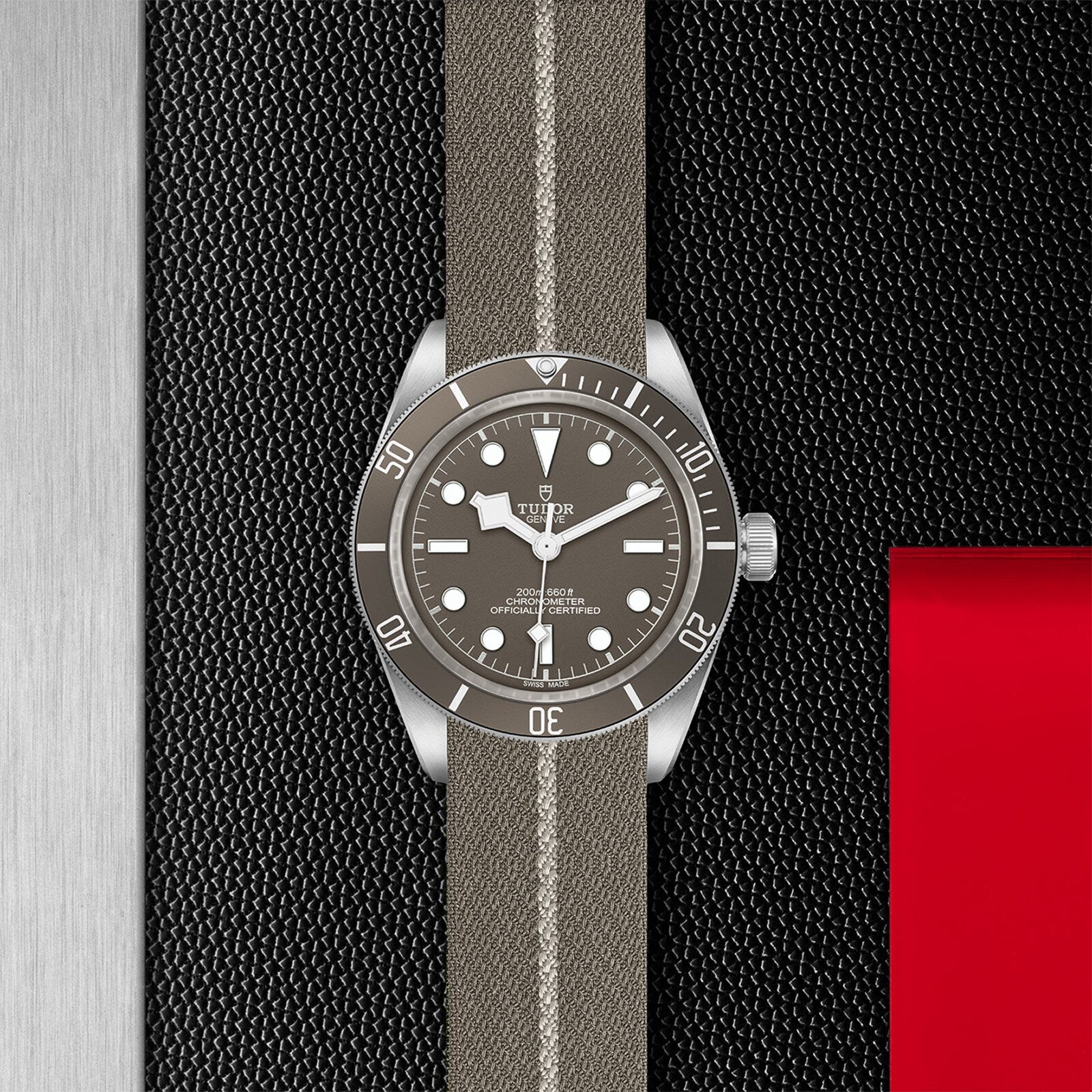 The TUDOR Black Bay 58 925 divers’ watch features a 39 mm case, grey dial and bezel, white markers, and an olive-green fabric strap, displayed on a textured black and red background.