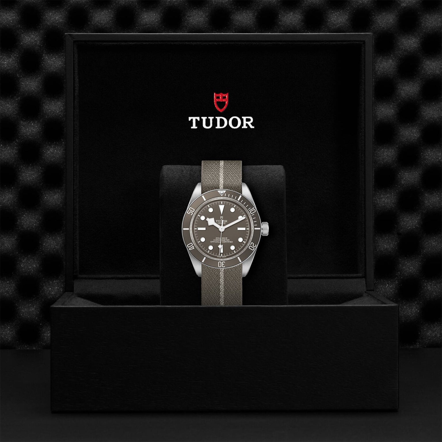 A TUDOR Black Bay 58 925 wristwatch with a fabric strap is displayed upright in an open black TUDOR box, highlighting its iconic 39mm case against a textured background.