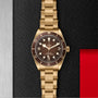 A TUDOR Black Bay 58 Bronze wristwatch with a bronze case and brown bezel and dial, showcased on a textured black surface with red and silver borders.