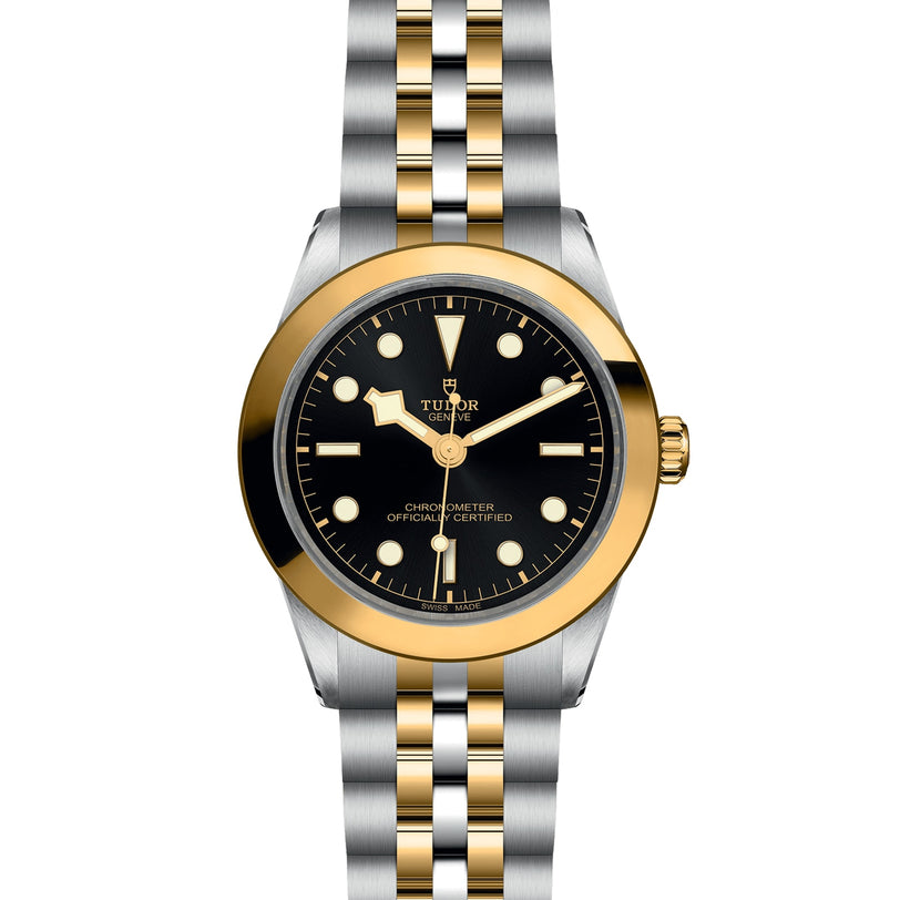 The TUDOR Black Bay One 39 S&G features a black dial, gold hour markers, and a two-tone steel and gold bracelet—showcasing modern design inspired by classic diving watches.