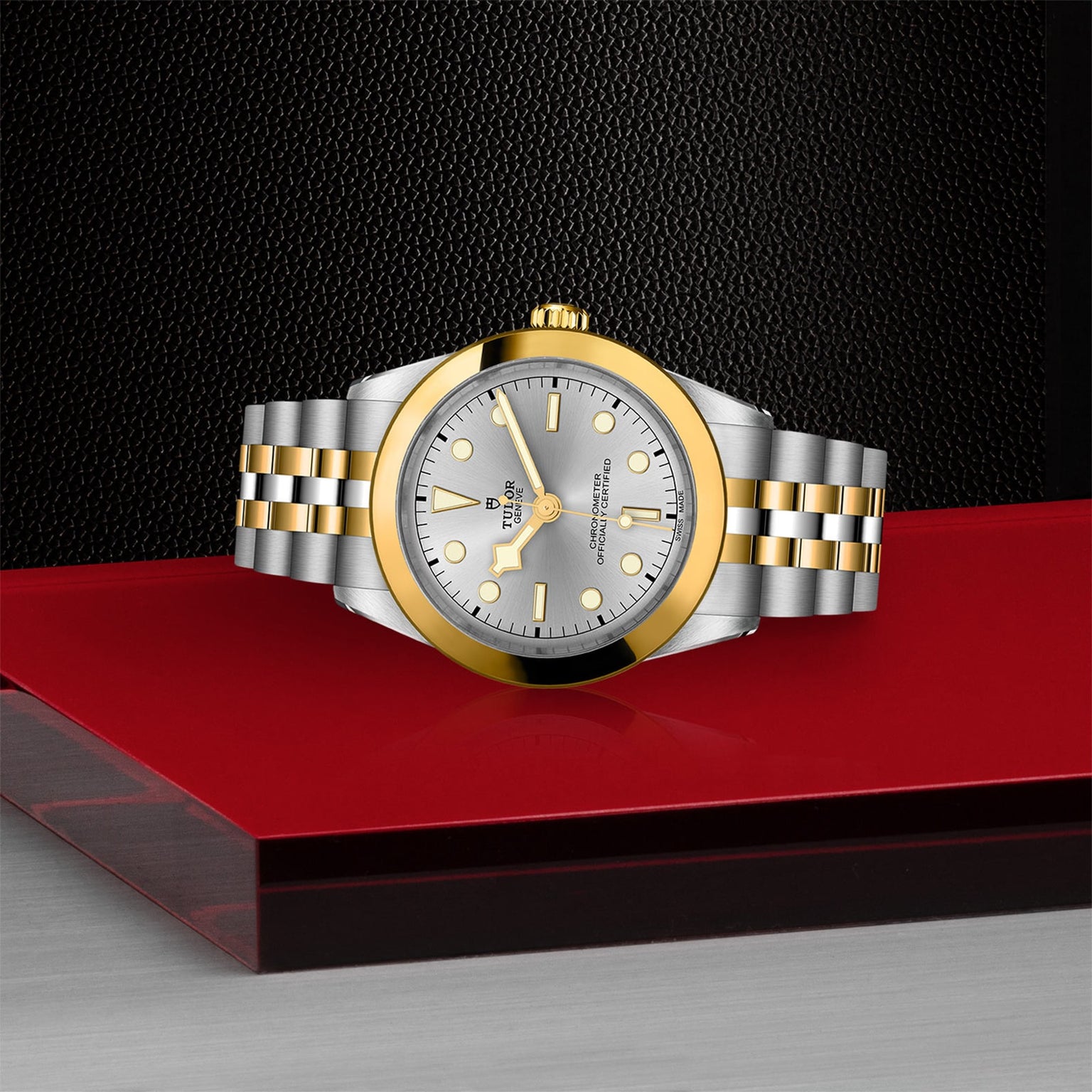 The TUDOR Black Bay One 39 S&G, a two-tone stainless steel and gold watch with a silver dial, is shown on a red and gray surface against a textured black background—highlighting the iconic Black Bay diving design.