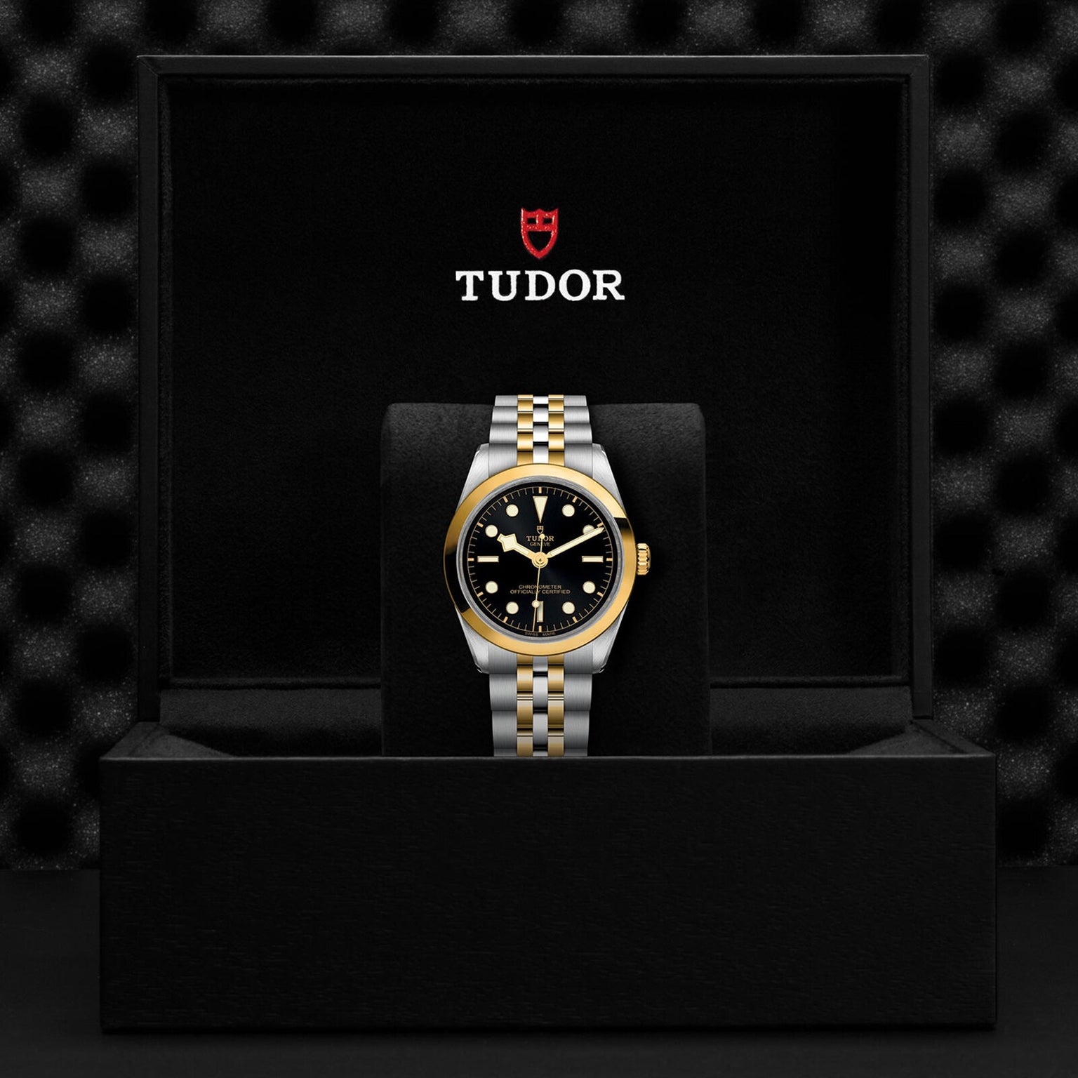 A TUDOR Black Bay One 36 S&G wristwatch with a black and gold band displayed in an open black TUDOR box.
