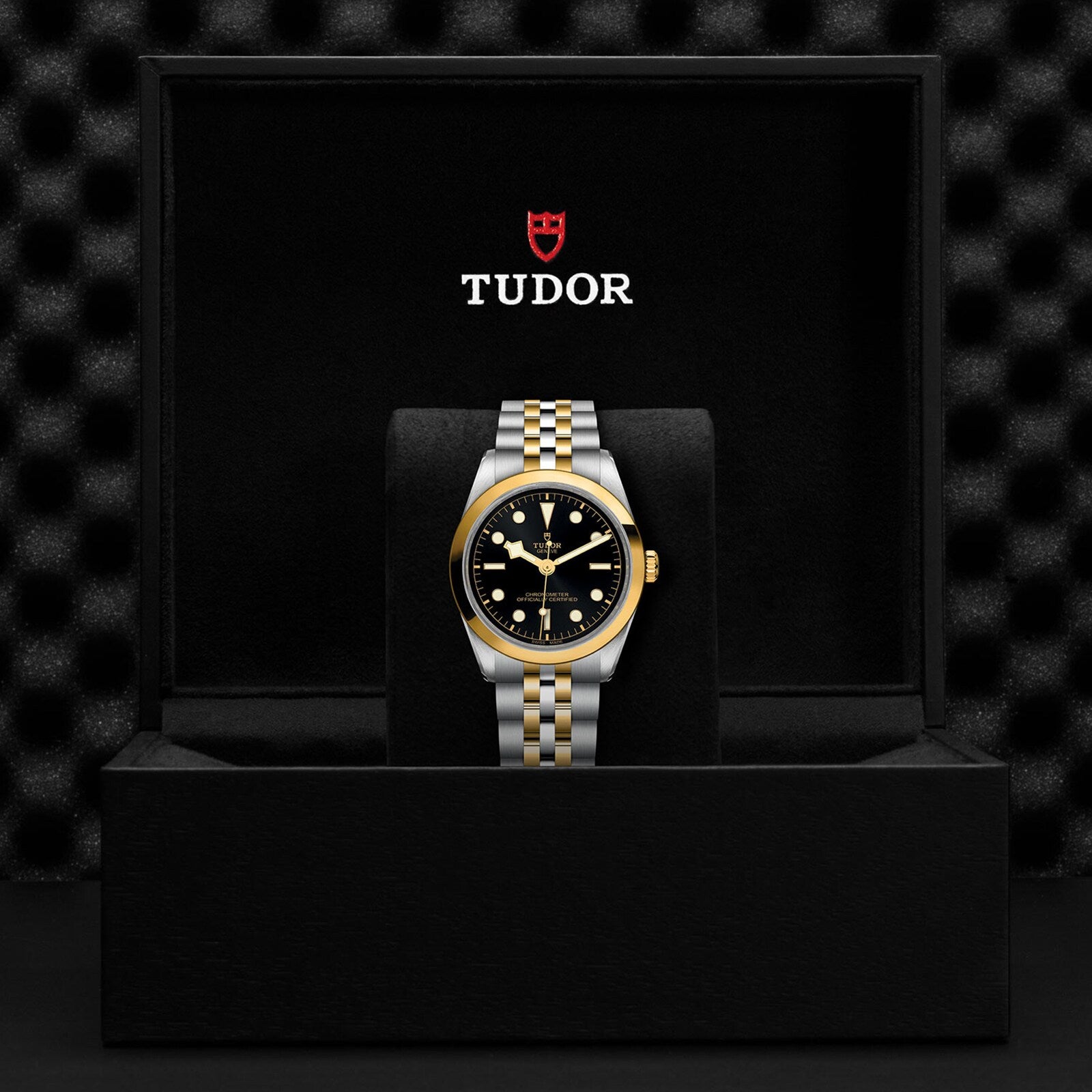 A TUDOR Black Bay One 36 S&G wristwatch with a black and gold band displayed in an open black TUDOR box.
