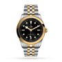 A TUDOR Black Bay One 41 S&G wristwatch features a black dial with diamond hour markers, a yellow gold bezel, and a silver and gold bracelet, displayed against a white background.