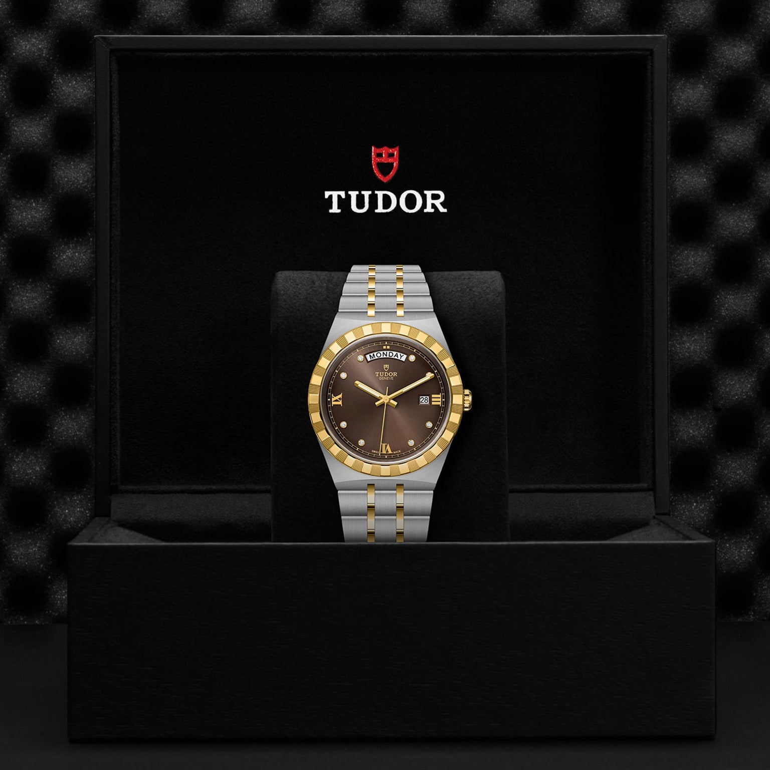 A TUDOR Royal wristwatch with a brown dial, gold accents, and automatic movement is shown in an open black box displaying the TUDOR logo on the inside lid.