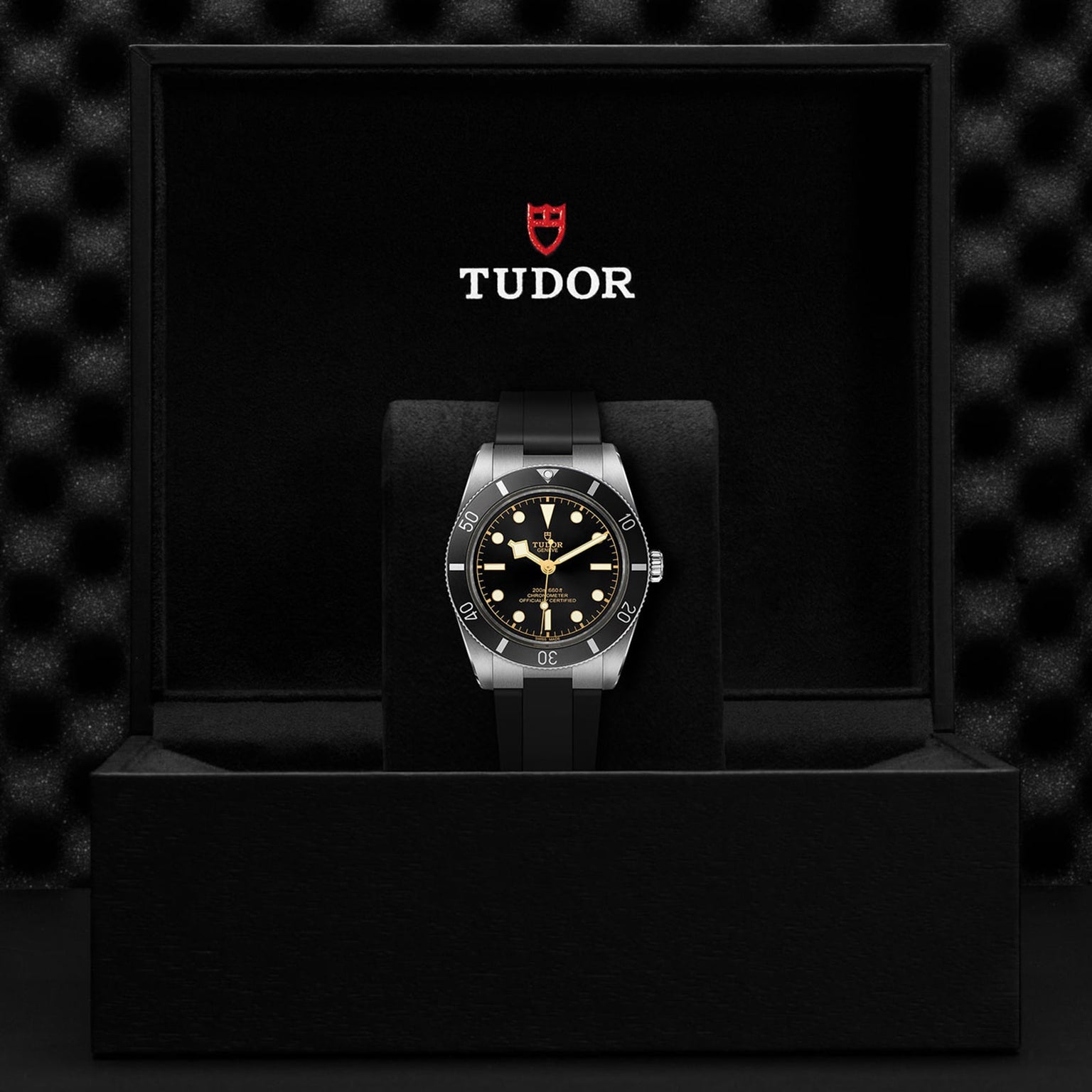 The TUDOR Black Bay 54 dive watch with black dial and bezel is shown in an open black Tudor box, featuring the logo on the inside lid. It runs on the Manufacture Calibre MT5400 movement.