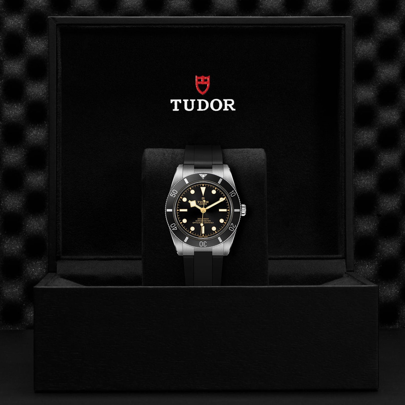 The TUDOR Black Bay 54 dive watch with black dial and bezel is shown in an open black Tudor box, featuring the logo on the inside lid. It runs on the Manufacture Calibre MT5400 movement.