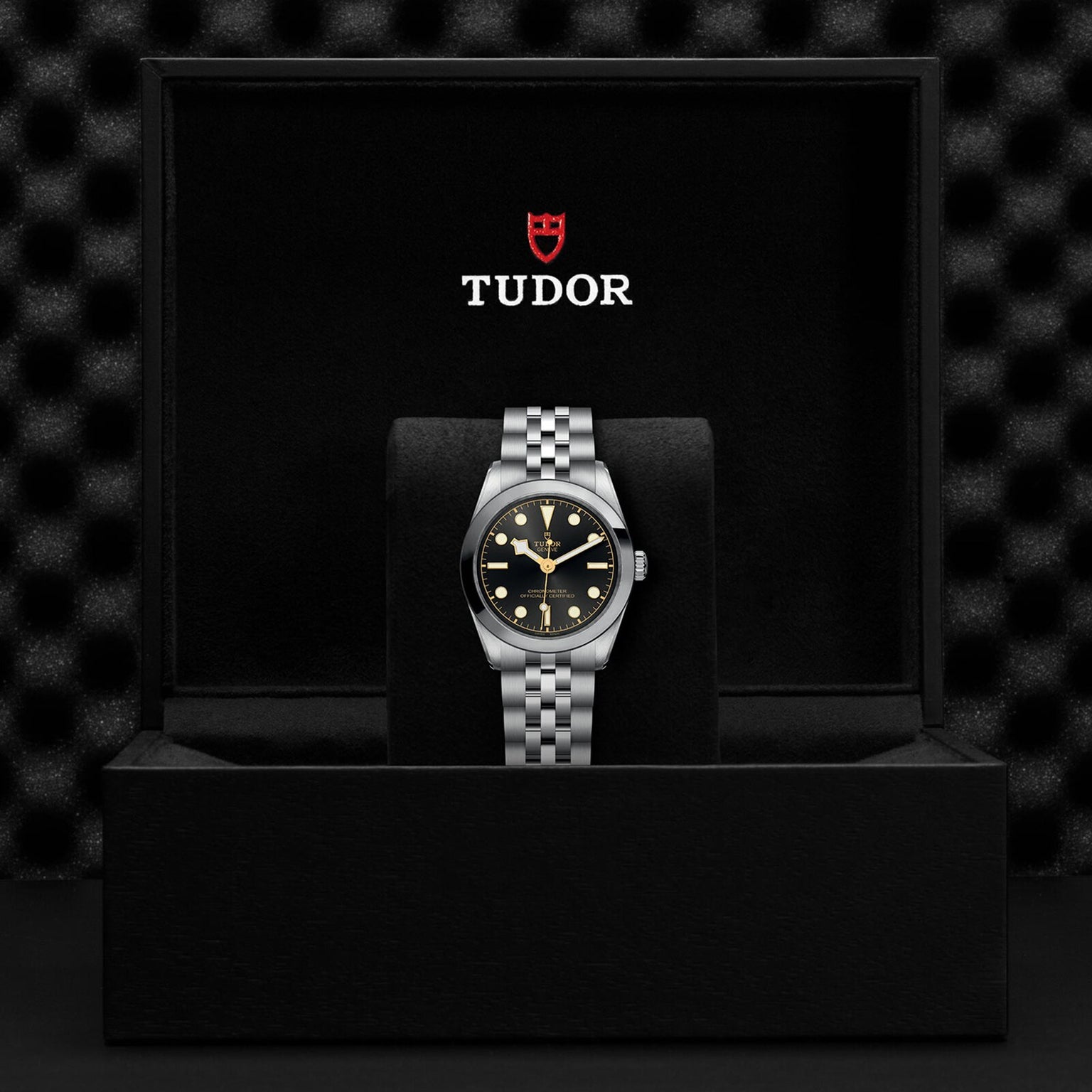 A TUDOR Black Bay 31 with a black dial and silver bracelet is displayed in an open black box bearing the TUDOR logo inside the lid, showcasing unisex chic style and the precision of Manufacture Calibres.