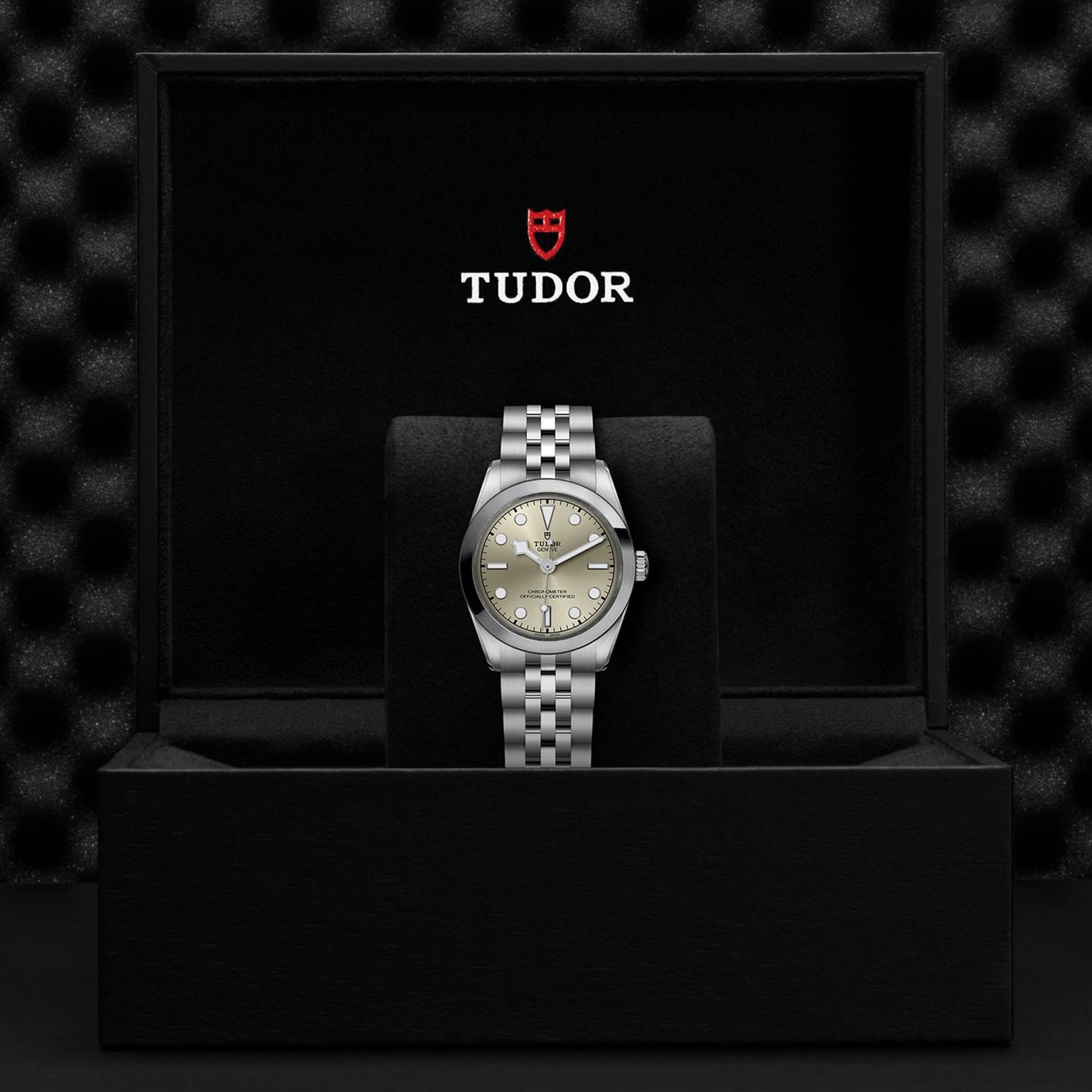 A TUDOR Black Bay One 31 silver wristwatch is shown in an open black TUDOR box with the brands logo above.