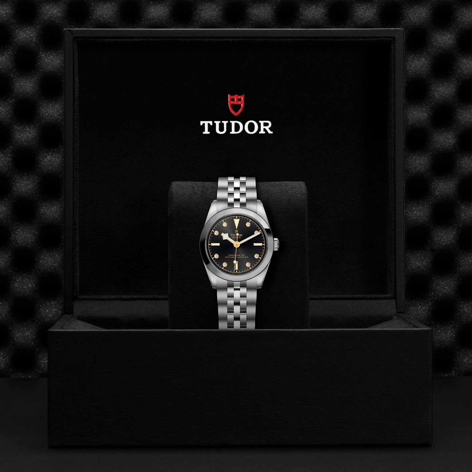 A TUDOR Black Bay 31 unisex watch with a metal band is showcased upright in an open black presentation box featuring the TUDOR logo inside the lid, highlighting the refined elegance of Black Bay models.