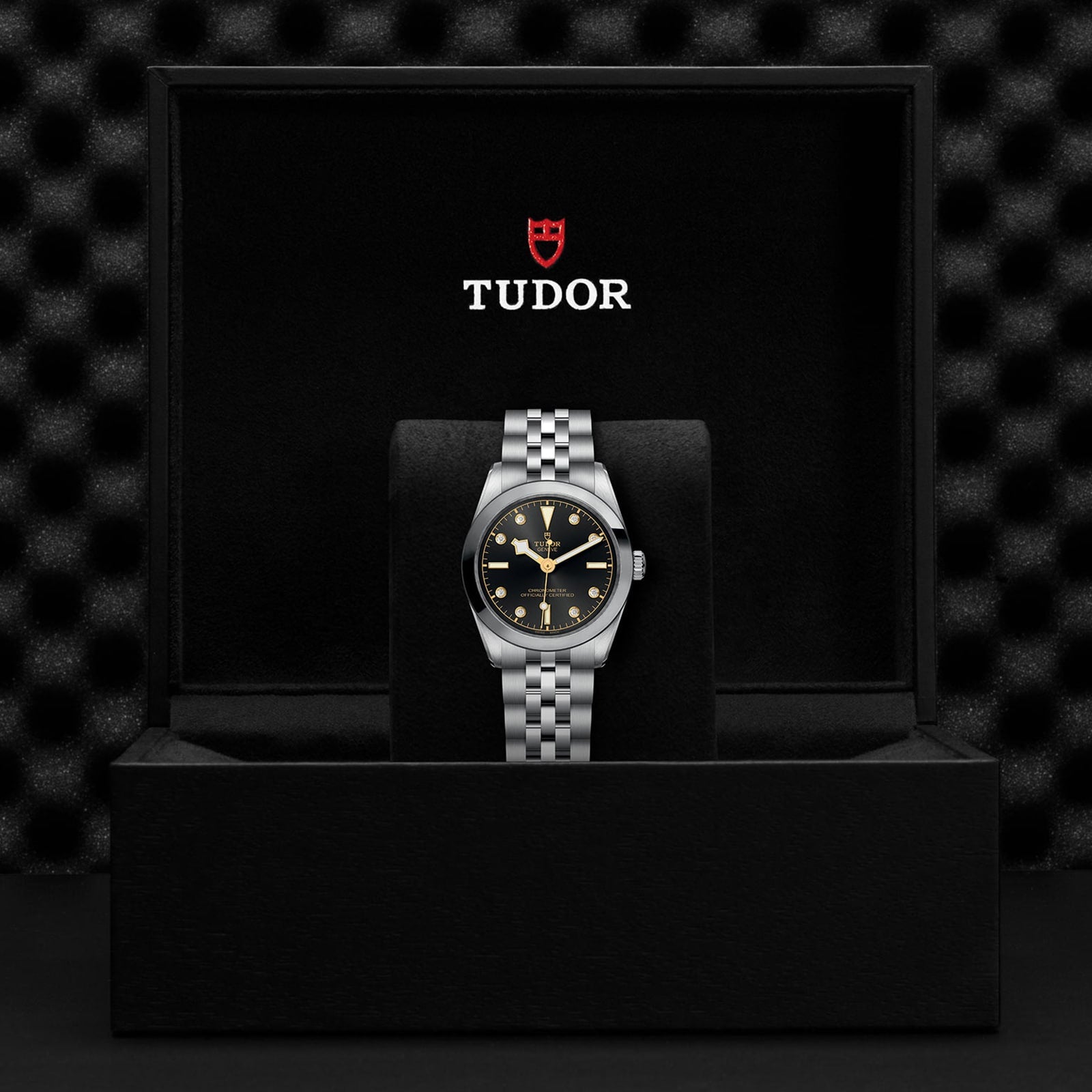 A TUDOR Black Bay 31 unisex watch with a metal band is showcased upright in an open black presentation box featuring the TUDOR logo inside the lid, highlighting the refined elegance of Black Bay models.