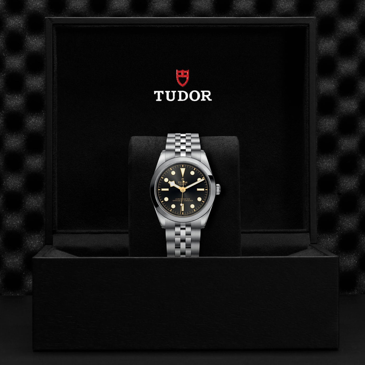 The TUDOR Black Bay One 36 wristwatch, showcasing technical refinement, is displayed upright in a black presentation box with the TUDOR logo inside the lid.