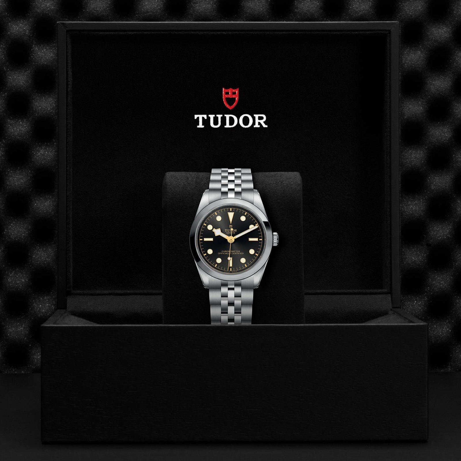 The TUDOR Black Bay One 36 wristwatch, showcasing technical refinement, is displayed upright in a black presentation box with the TUDOR logo inside the lid.