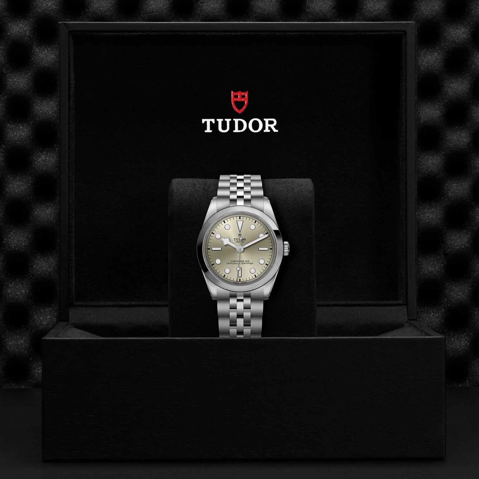 The TUDOR Black Bay One 36 unisex watch with a silver dial and metal bracelet is displayed upright in an open black box featuring the TUDOR logo inside the lid, reflecting the elegant style of Black Bay models.