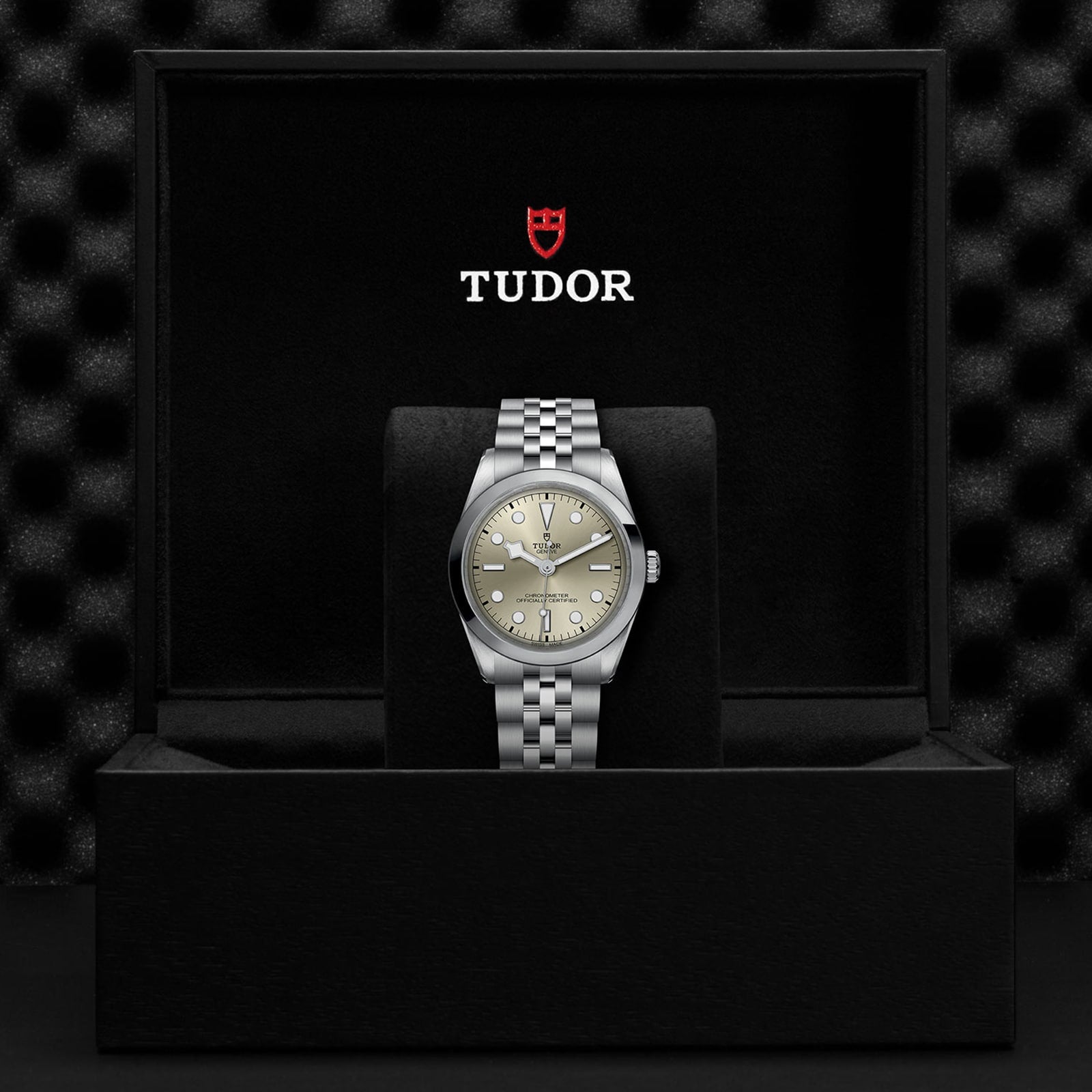 The TUDOR Black Bay One 36 unisex watch with a silver dial and metal bracelet is displayed upright in an open black box featuring the TUDOR logo inside the lid, reflecting the elegant style of Black Bay models.