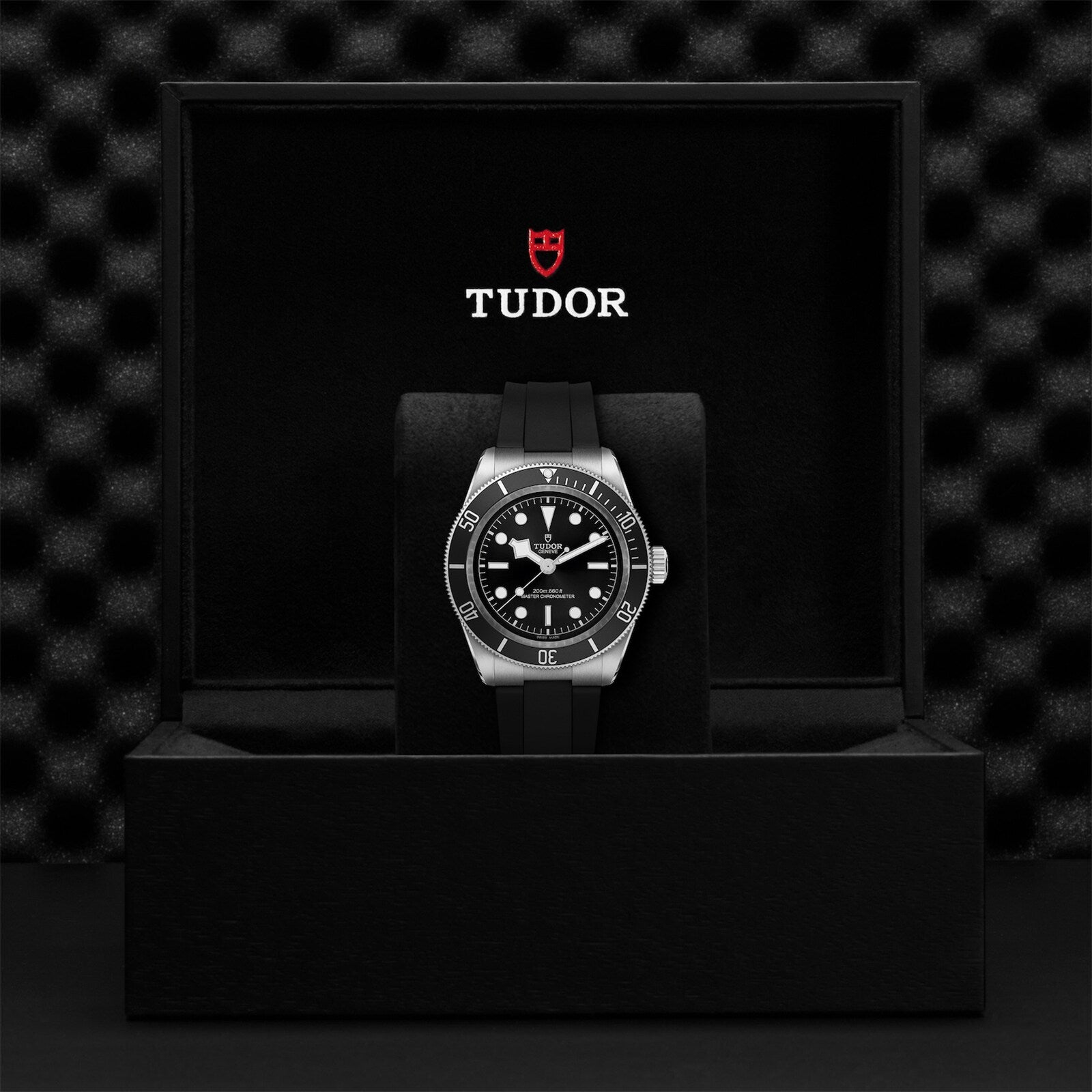 A TUDOR Black Bay wristwatch with a black dial and bezel on a black strap is shown in an open TUDOR box, highlighting the signature style and quality of TUDOR diving watches.