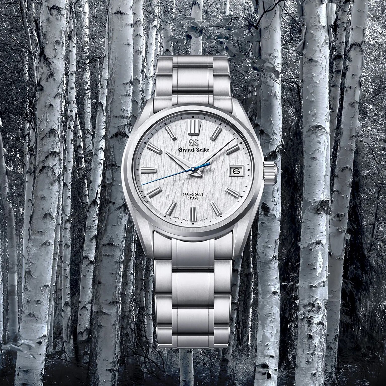 The Grand Seiko Spring Drive 5 Days Evolution 9 wristwatch, featuring a textured white dial, is showcased against birch trees, capturing the tranquil essence of Japanese nature in a monochrome forest setting.