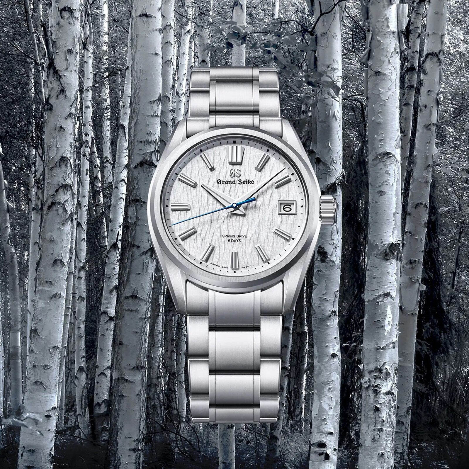 The Grand Seiko Spring Drive 5 Days Evolution 9 wristwatch, featuring a textured white dial, is showcased against birch trees, capturing the tranquil essence of Japanese nature in a monochrome forest setting.