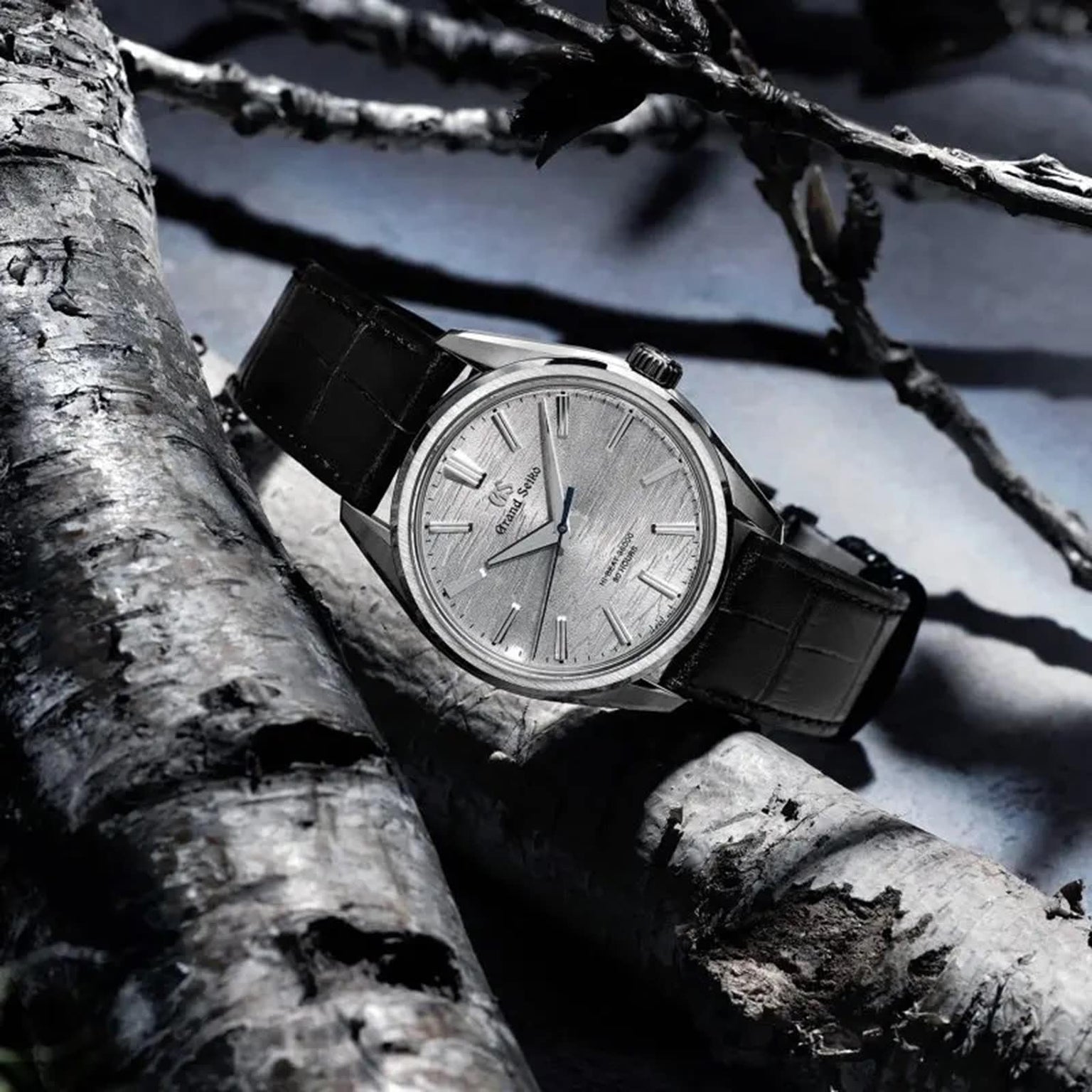 The Grand Seiko Manual Hi-beat 80 Hours Evolution 9 wristwatch, featuring a silver textured dial inspired by white birch bark and a black leather strap, rests on gray tree bark under soft lighting.