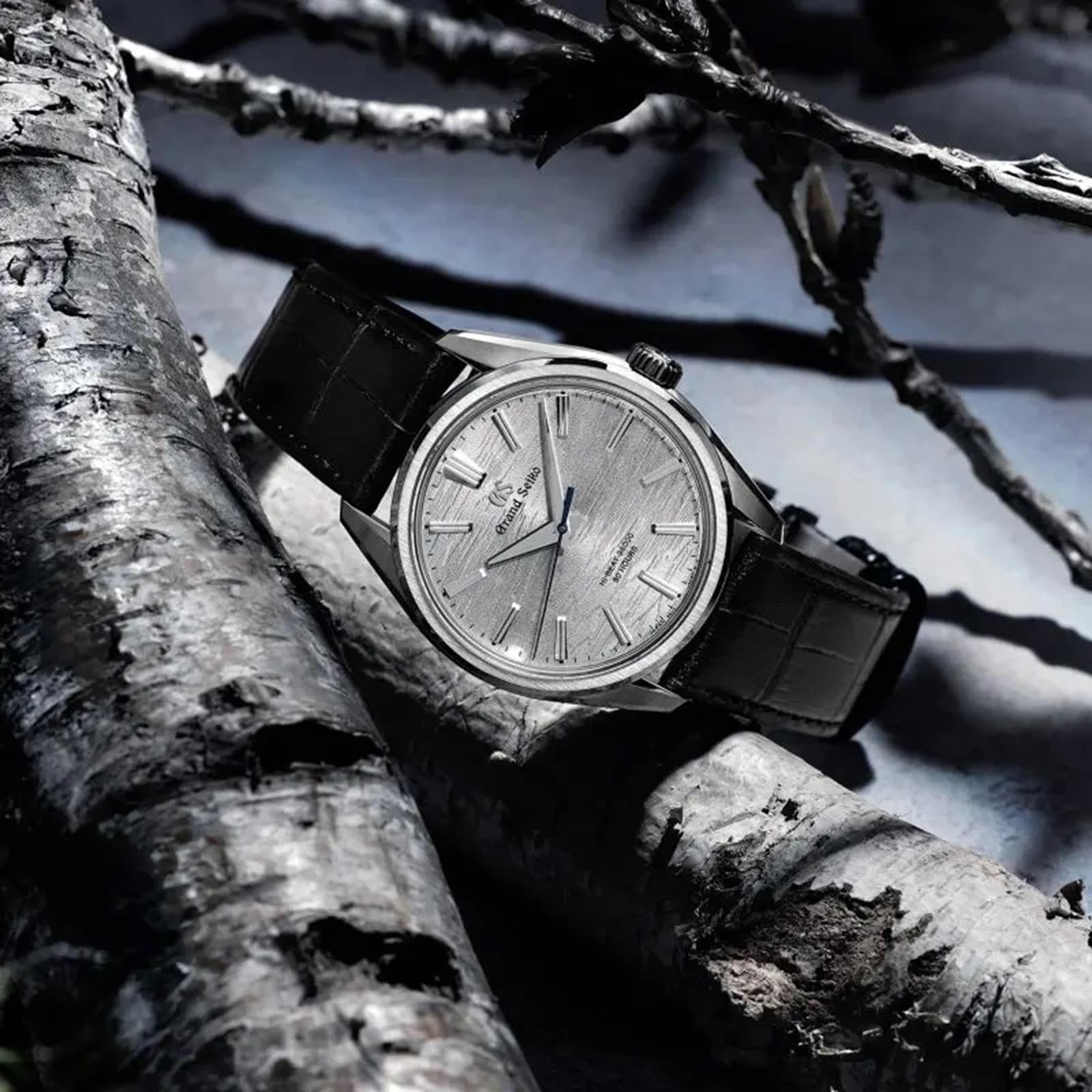 The Grand Seiko Manual Hi-beat 80 Hours Evolution 9 wristwatch, featuring a silver textured dial inspired by white birch bark and a black leather strap, rests on gray tree bark under soft lighting.