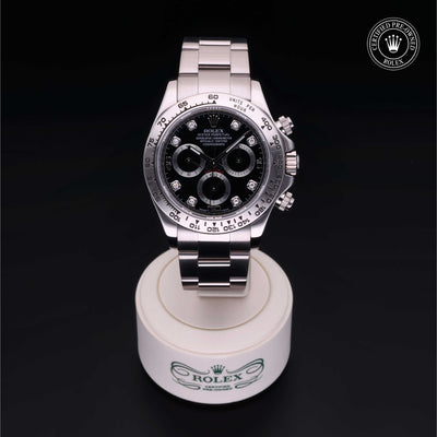 Rolex Certified Pre-owned Daytona M116509-0013 front on black background