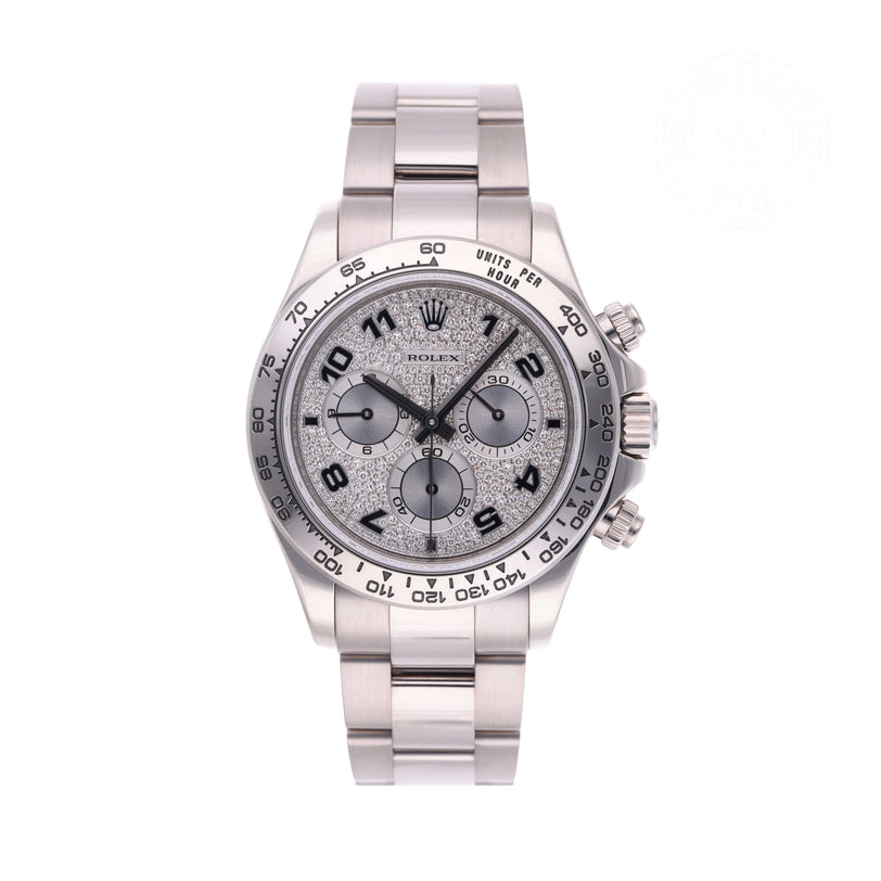 Rolex Certified Pre-owned Daytona M116509-0013 front on white background