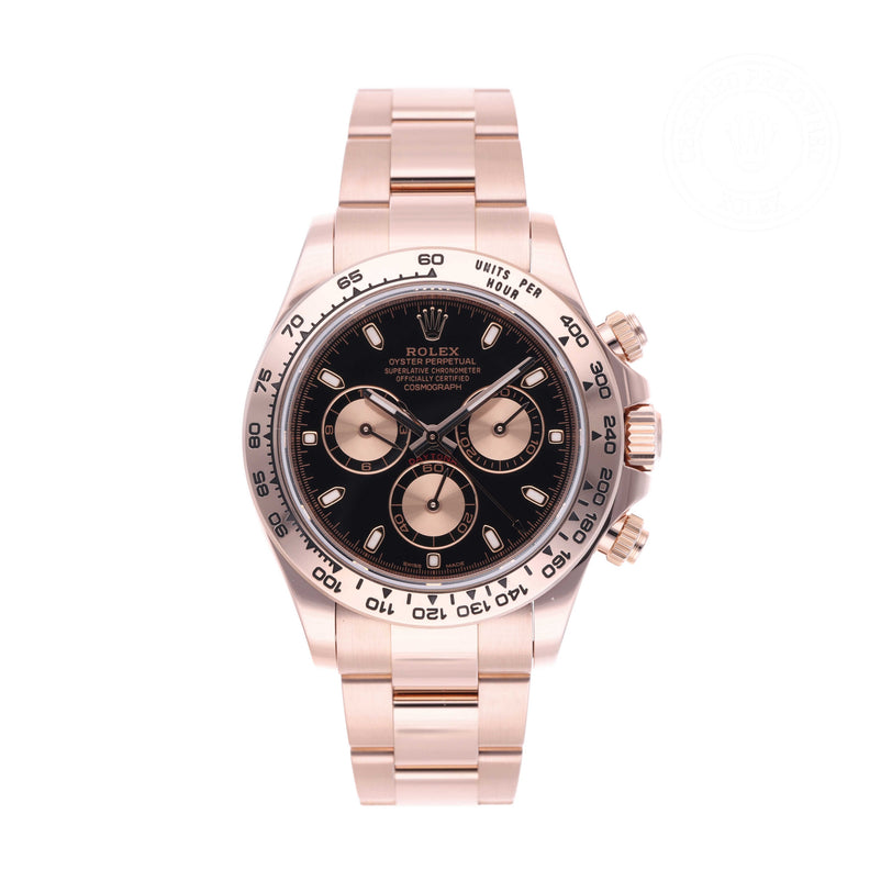 Rolex Certified Pre-owned Daytona M116505-0002 front on white background