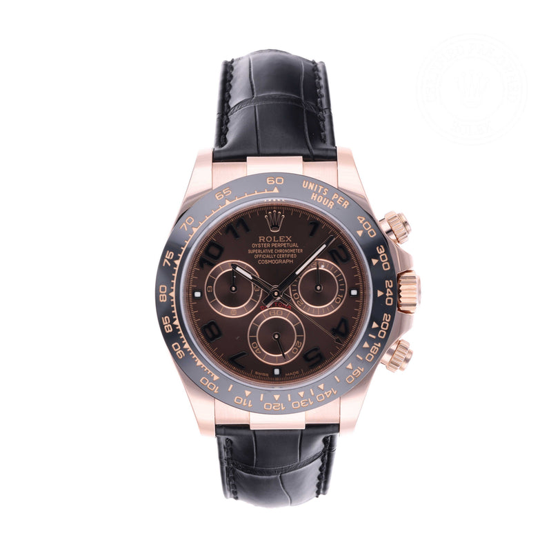 Rolex Certified Pre-owned Daytona M116515LN-0004 front on white background