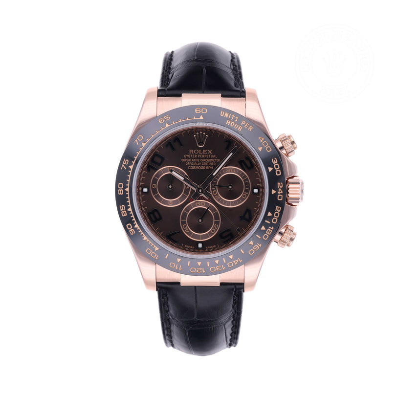 Rolex Certified Pre-owned Daytona M116515LN-0002 front on white background