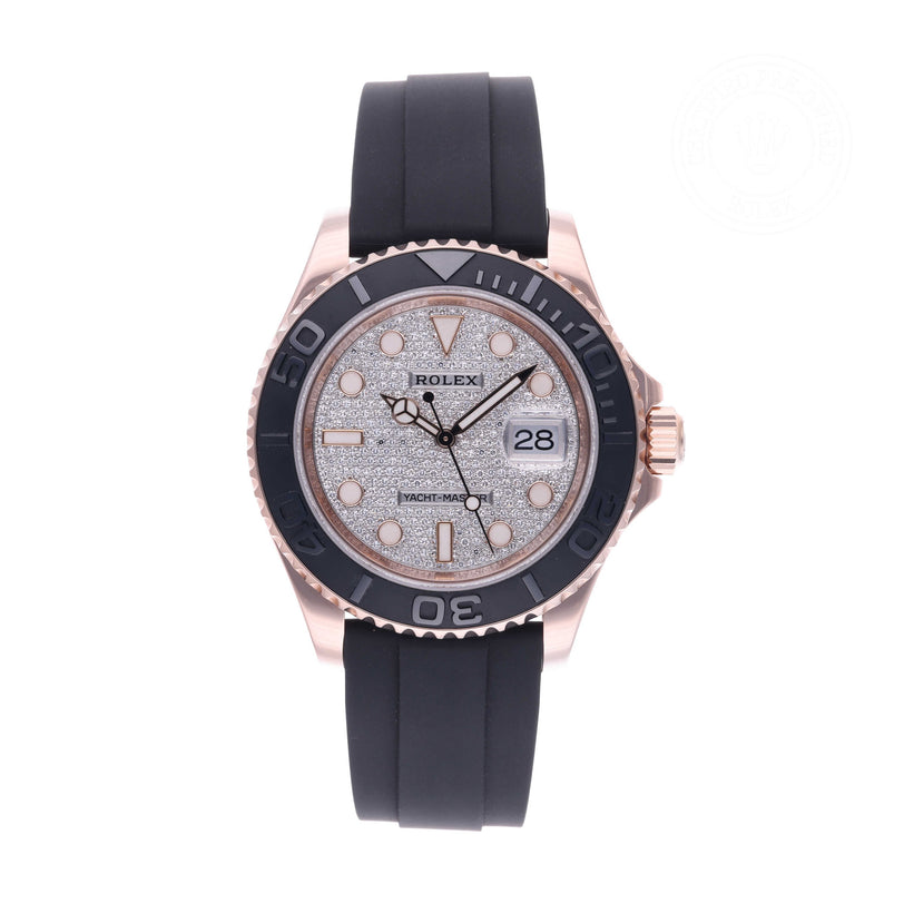 Rolex Certified Pre-owned Yacht-Master M126655-0005 front on white background