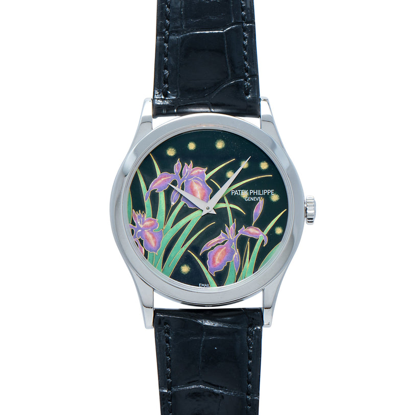 The Patek Philippe Calatrava Cloisonné Iris & Night Fireflies is a silver watch with a black leather strap and a dial adorned with purple irises and green leaves on a dark background.
