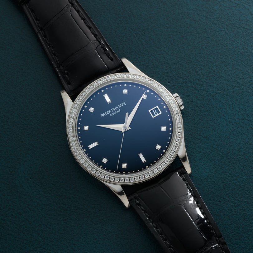 Patek Philippe Calatrava Diamond Bezel watch with a blue face and black leather strap, displayed on a green surface.