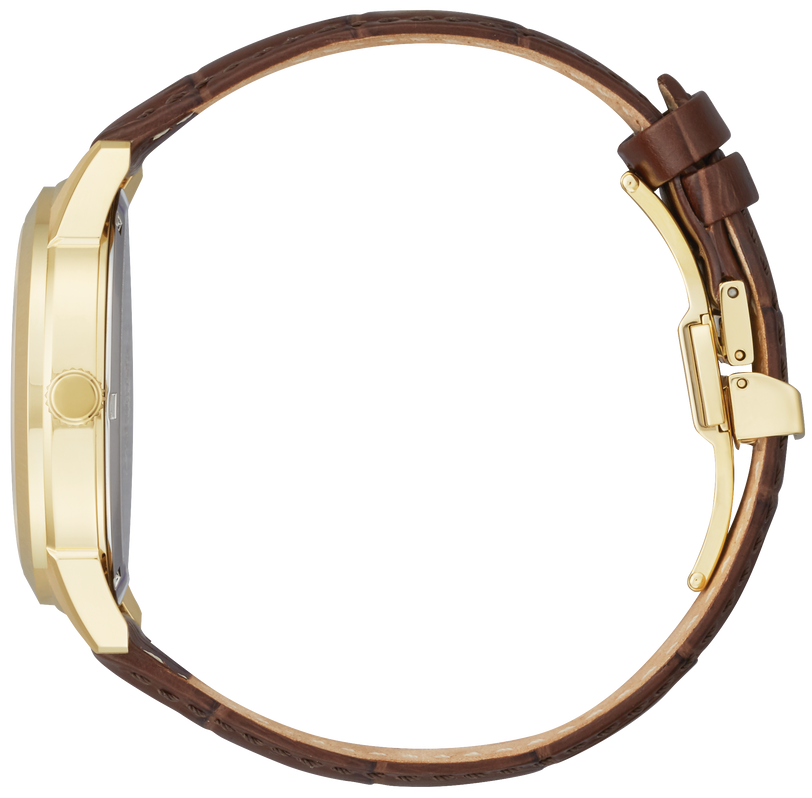 Citizen Rolan Steel 40 mm Eco Drive