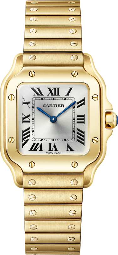 Santos De Cartier