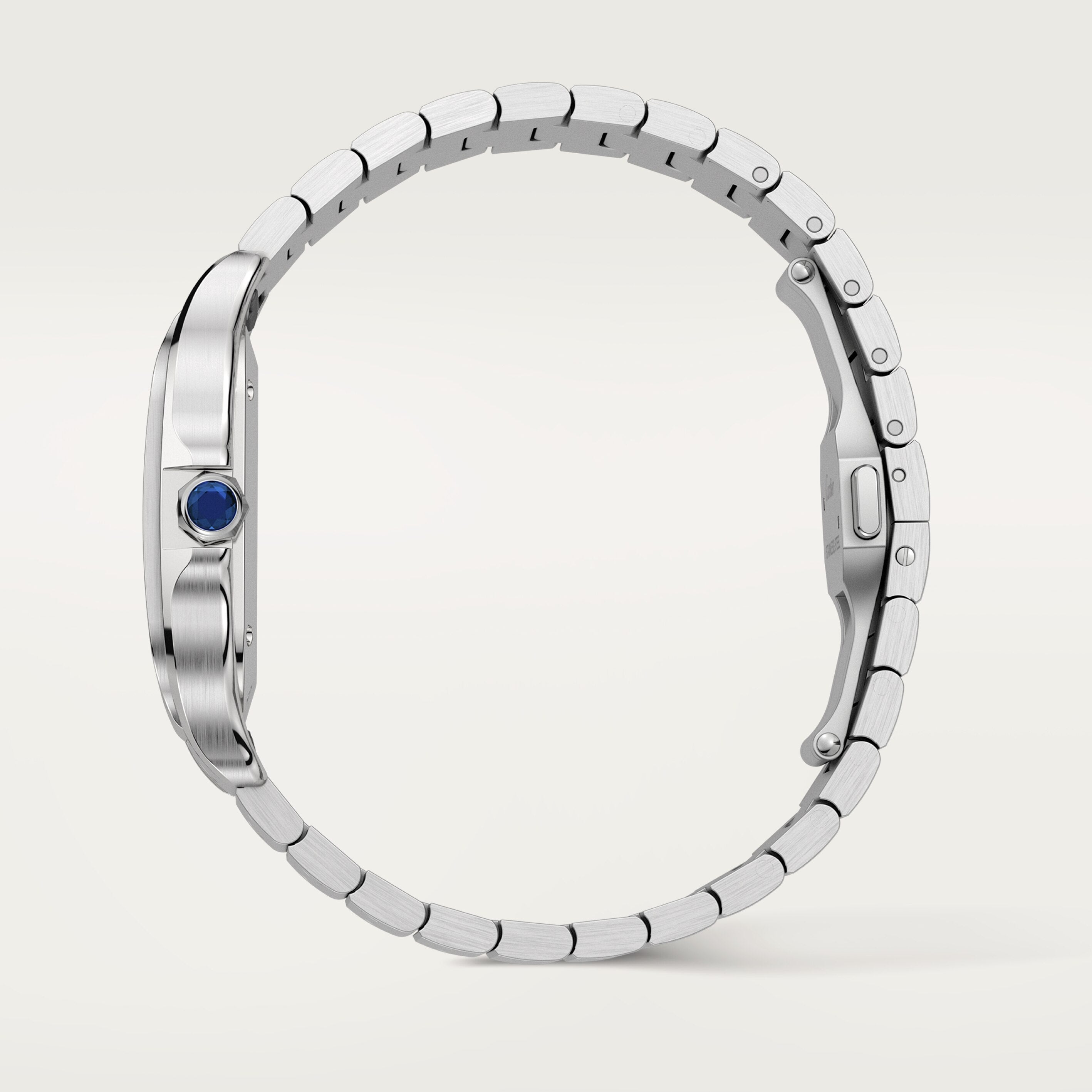 Cartier Santos de Cartier WSSA0064
