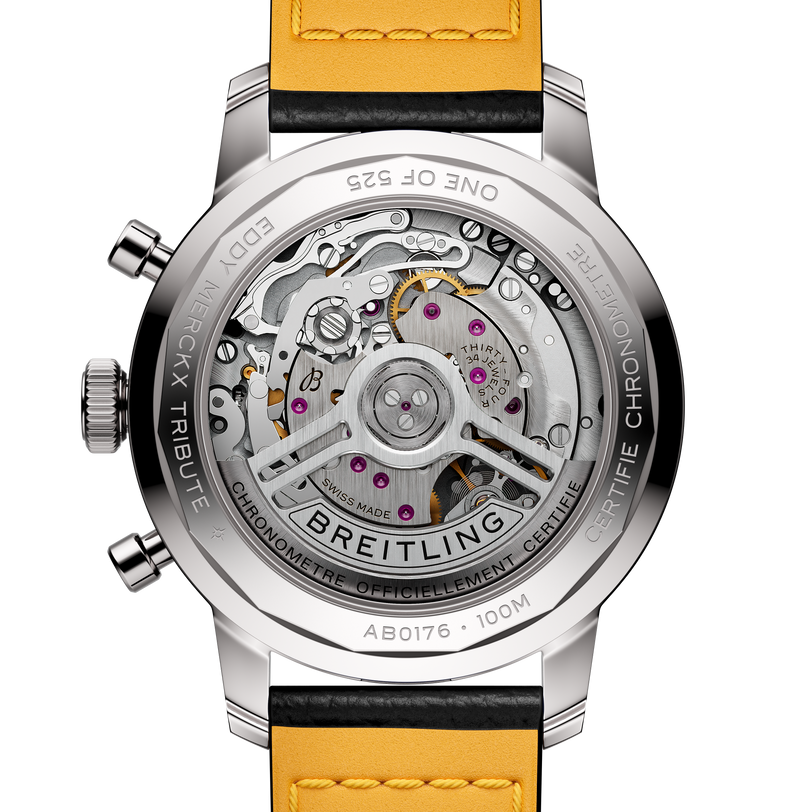 Top Time B01 Eddy Merckx | 41mm, Leather Strap, Men's Watch