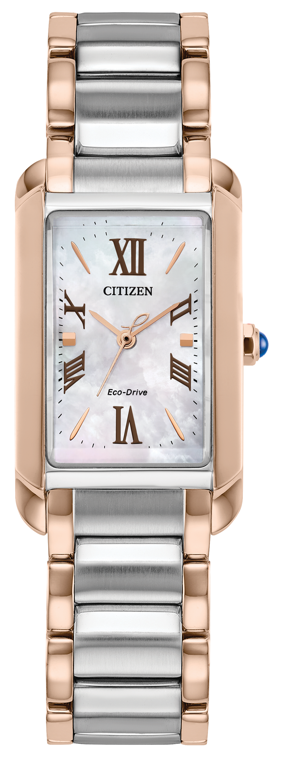 Citizen Bianca