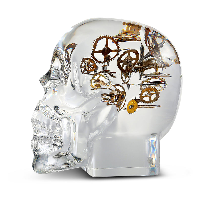 Berd Vay'e Lost In Time Small Skull