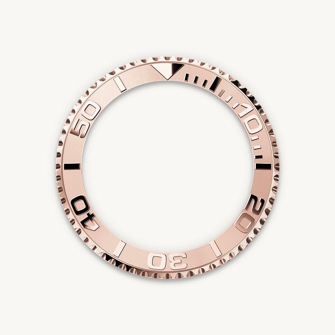 Bidirectional Rotatable Bezel