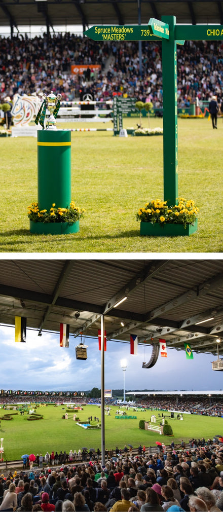 A crowded stadium surrounds a green field with equestrian jumps and event signs under a cloudy sky.