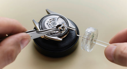 Close-up of hands assembling a watch movement with tweezers and a small plastic container.